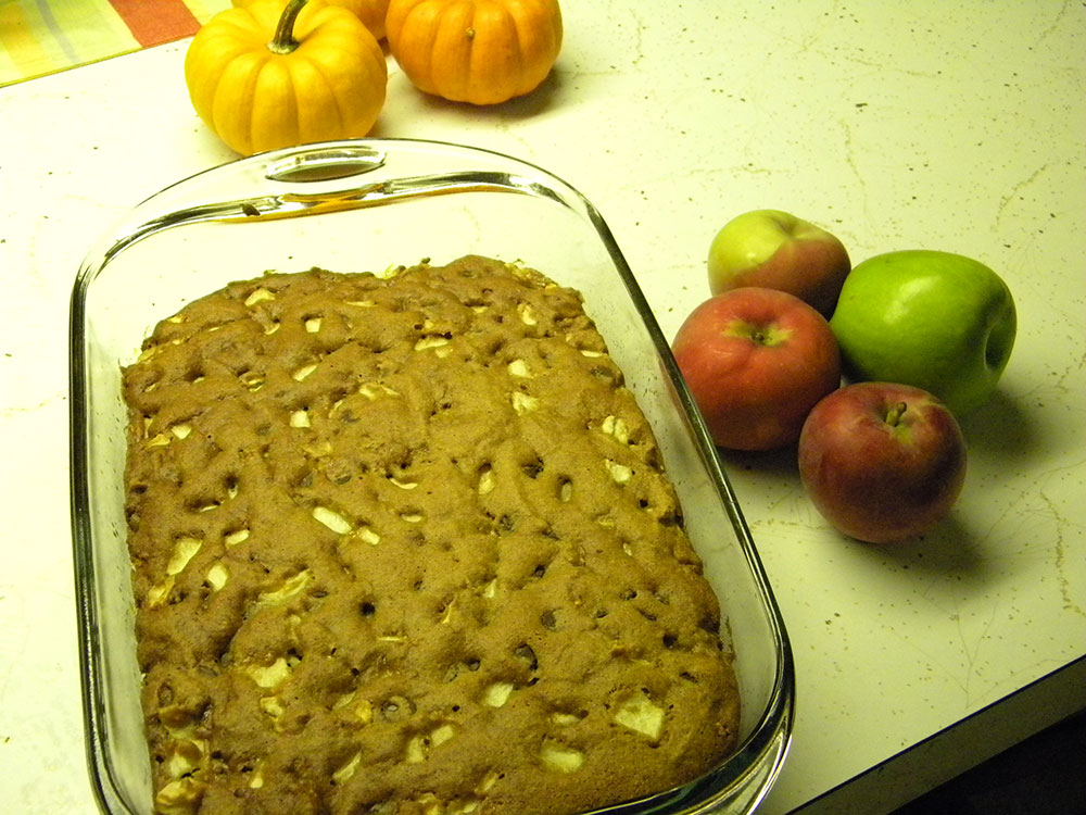 Chocolate Chip Apple Cake